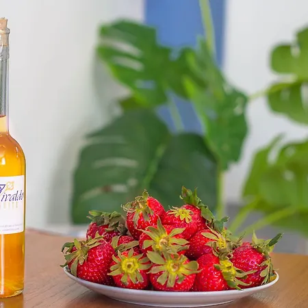 Vivaldo - Accademia *