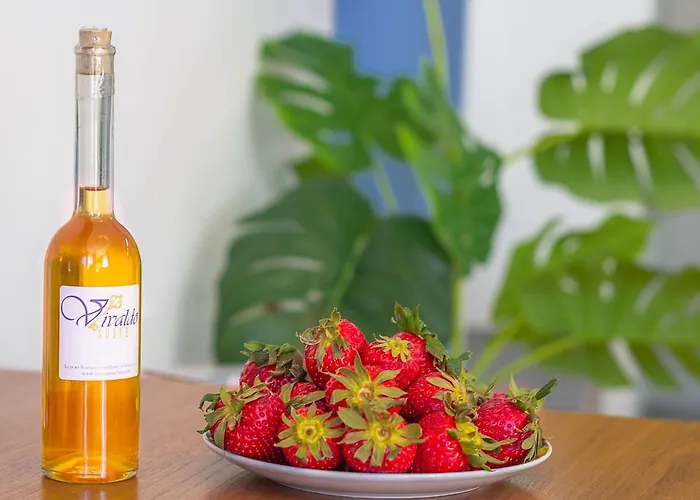 Vivaldo - Accademia *